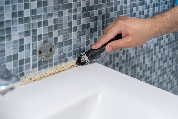 Best Mold Cleaning Services  in Celoron, NY